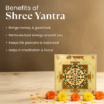 Ornare auctor - Image 2